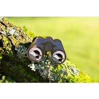 Chickadee Pin Blue