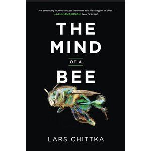 Mind of a Bee PBK