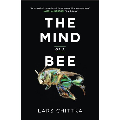 Mind of a Bee PBK