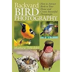 BACKYARD BIRD PHOTOGRAPHY