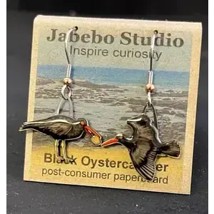 jabebo Black Oystercatcher Earrings