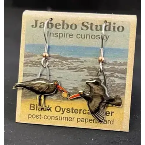 jabebo Black Oystercatcher Earrings