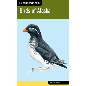 BIRDS OF ALASKA
