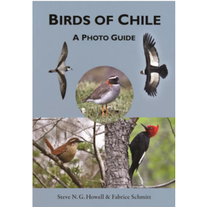 BIRDS OF CHILE - PHOTO GUIDE