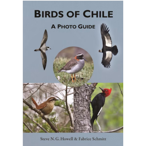 BIRDS OF CHILE - PHOTO GUIDE