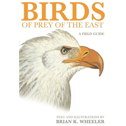 BIRDS OF PREY OF THE EAST