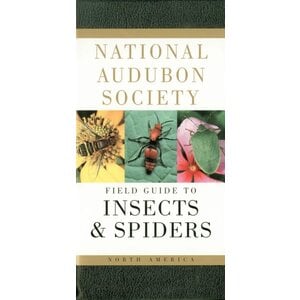 National Audubon Society FIELD GUIDE TO INSECTS & SPIDERS