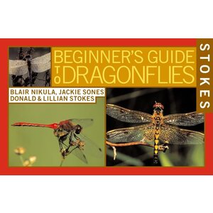 STOKES BEGINNERS GUIDE TO DRAGONFLIES