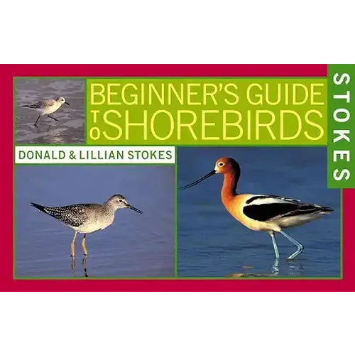 stokes BEGINNER'S GUIDE TO SHOREBIRDS