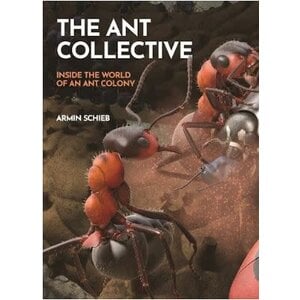 The Ant Collective: Inside the World of an Ant Colony