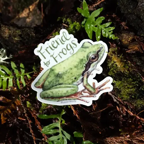 laurel mundy Friend to Frogs 3" Vinyl Sticker