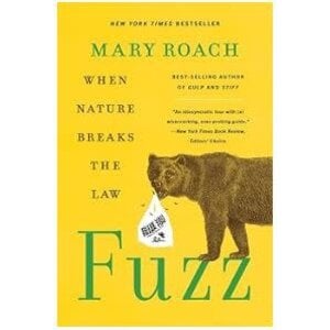 Fuzz: When Nature Breaks the Law