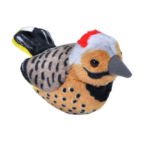 SONG BIRD : NORTHERN FLICKER