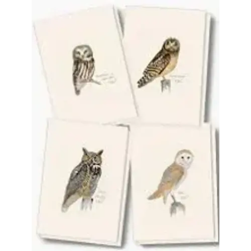 EARTH SKY + WATER Boxed Notecards: Sibley Owl Assortment