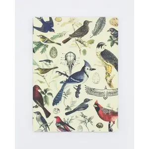 Cognitive Surplus Ornithology: Birds Softcover Notebook - Dot Grid Pages