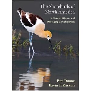 Shorebirds of North America: A Natural History and Photographic Celebration