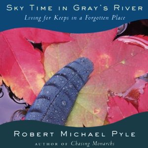 SKY TIME IN GRAY'S RIVER -CLEARANCE