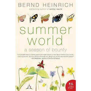 SUMMER WORLD, PB