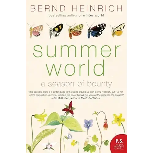 SUMMER WORLD, PB