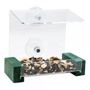 Songbird Essentials Mini Green Window Feeder