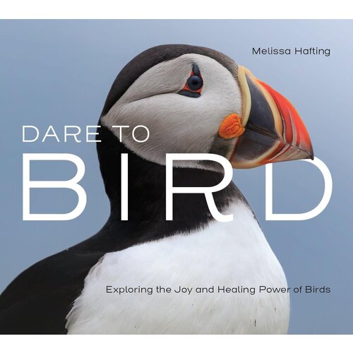 Dare to Bird: Exploring the Joy and Healing Power of Birds