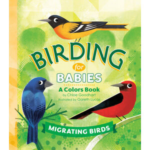 Birding for Babies: Migrating Birds
