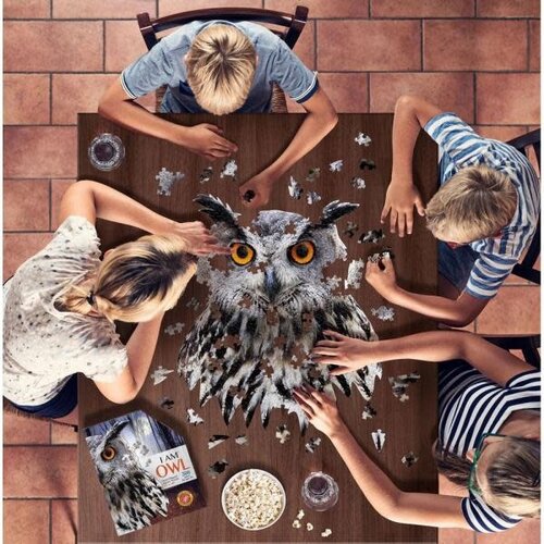 I am Owl 300 Piece Puzzle