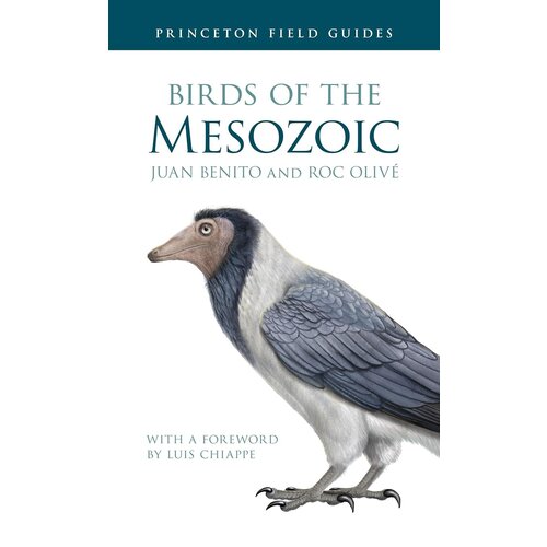 Birds of the Mesozoic Birds of the Mesozoic