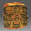 Pacific Northwest Bird Guides