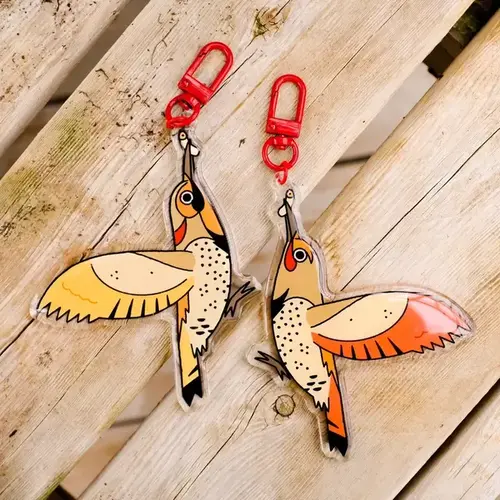 Camp Mustelid Northern Flicker Morphs Acrylic Keychain Camp Mustelid Northern Flicker Morphs Acrylic Keychain