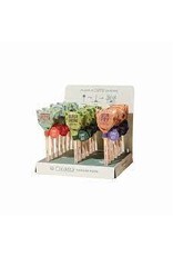 Modern Sprout MS- Culinary Seed pops