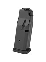 RUGER RUGER LCP MAX 10RD MAGAZINE