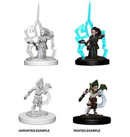 WizKids RPG Minis W1-5 (PF)