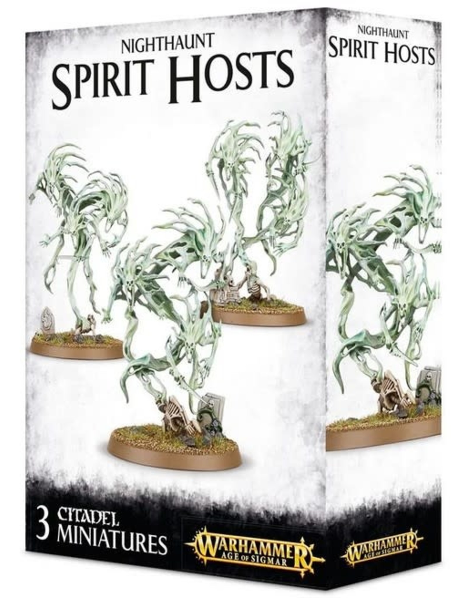 Warhammer AoS WHAoS Nighthaunt: Spirit Hosts