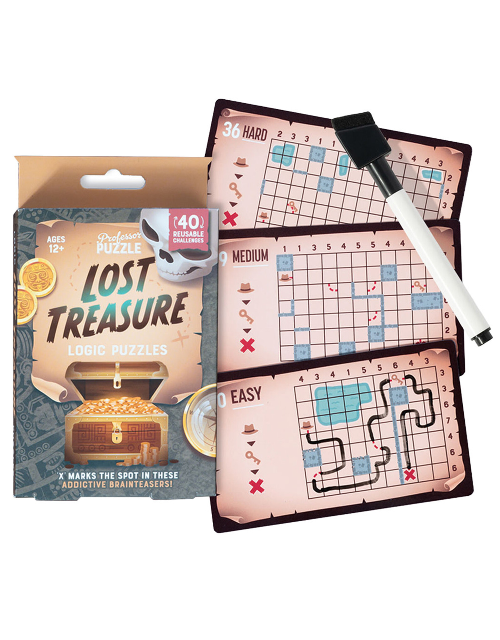 Professor Puzzle Lost Treasure