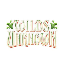 Gift of Games Lorcana Wilds Unkown Store Championship 6/13 11:00am