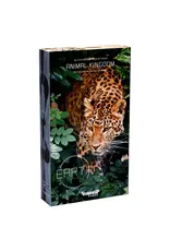 Inside Up Games Earth: Animal Kingdom