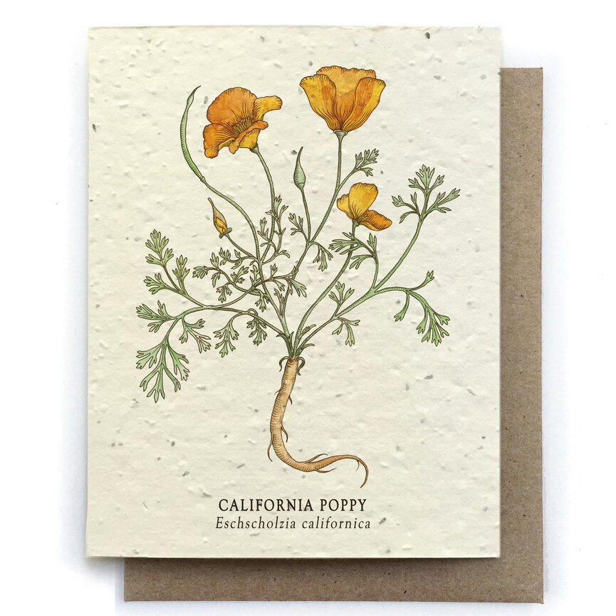Small Victories Plantable Greeting Cards