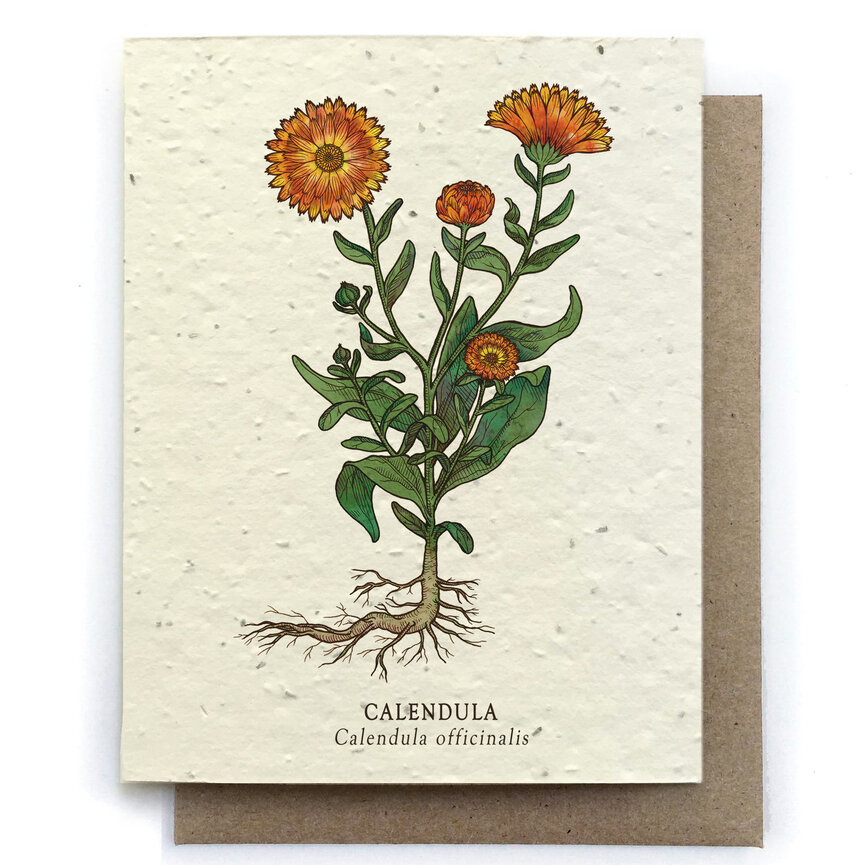 Plantable Greeting Cards