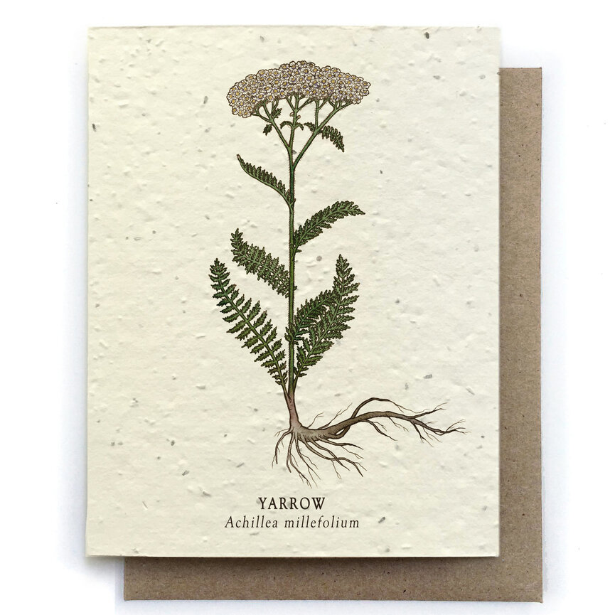 Plantable Greeting Cards