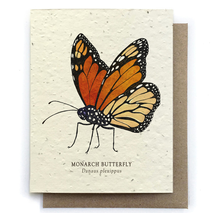 Small Victories Plantable Greeting Cards