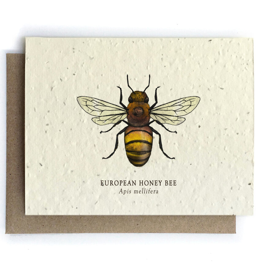 Small Victories Plantable Greeting Cards