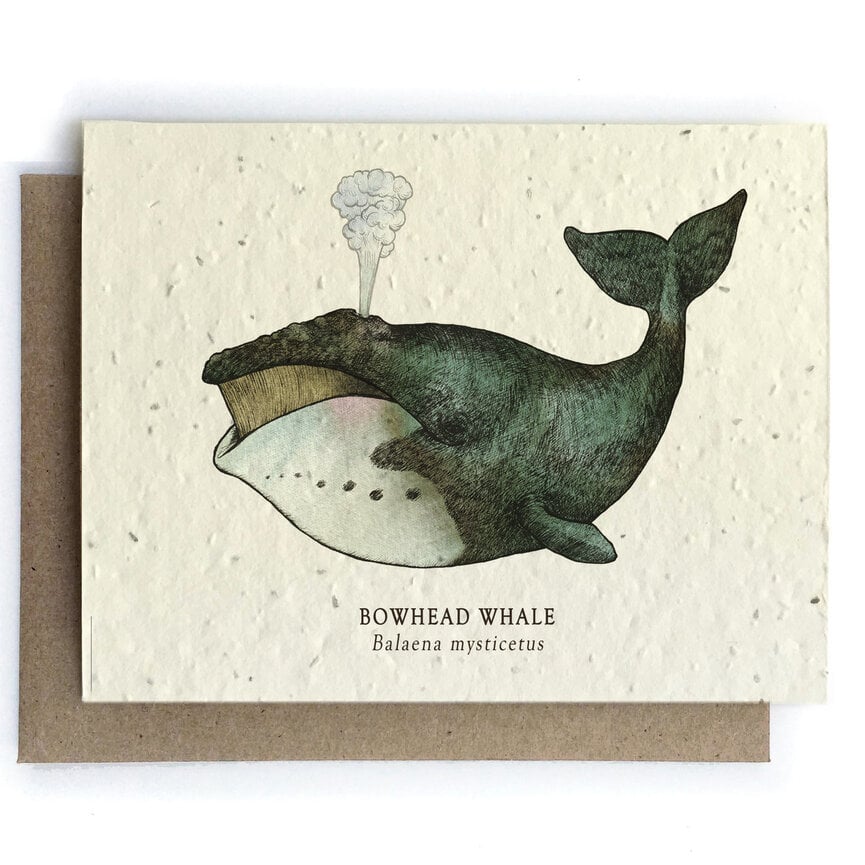 Plantable Greeting Cards