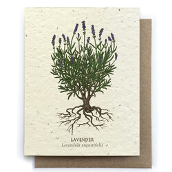 Small Victories Plantable Greeting Cards