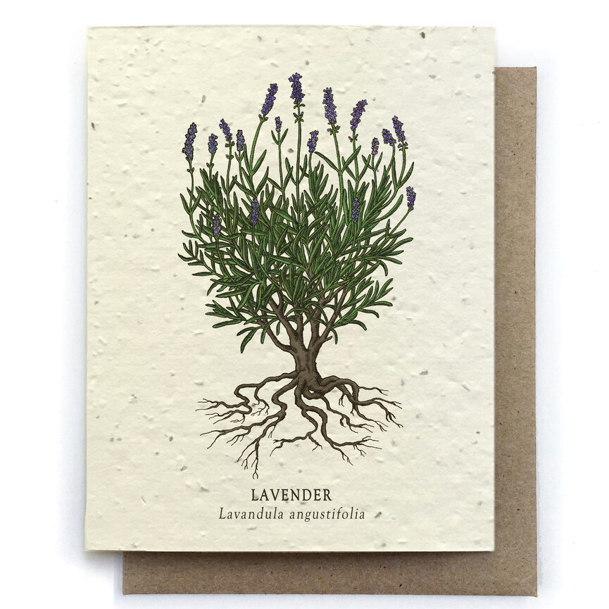 Small Victories Plantable Greeting Cards