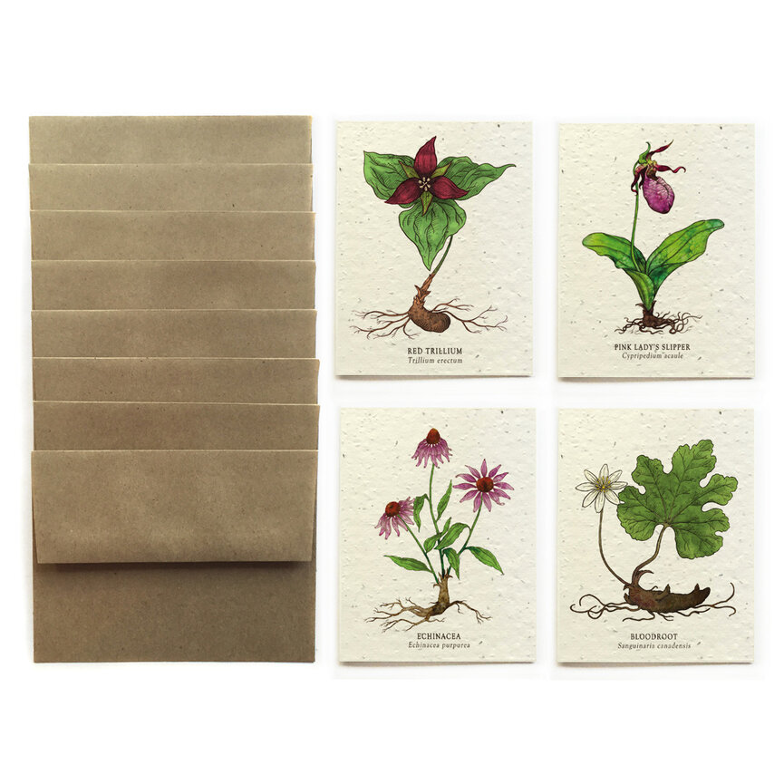 Greeting Card Set of 8