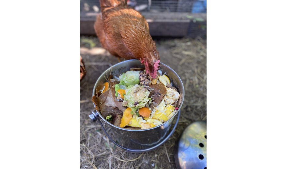 An Ethos guide to composting at home in 3 steps!
