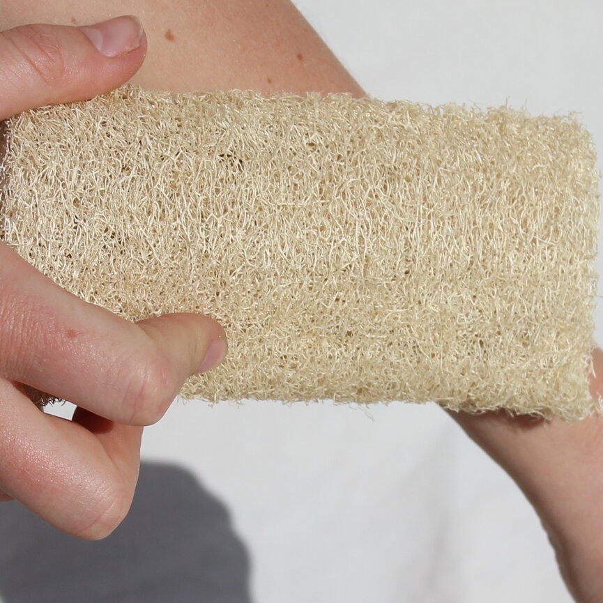 Luffa [LUFFA FARM]