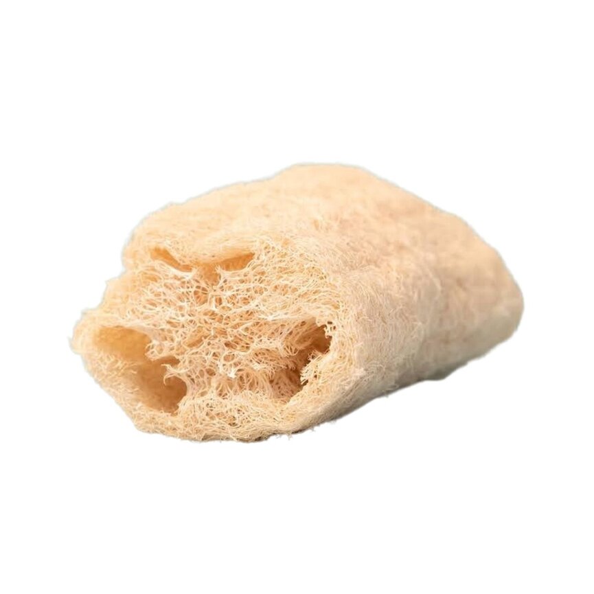 Luffa [LUFFA FARM]
