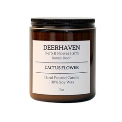 Soy Candles